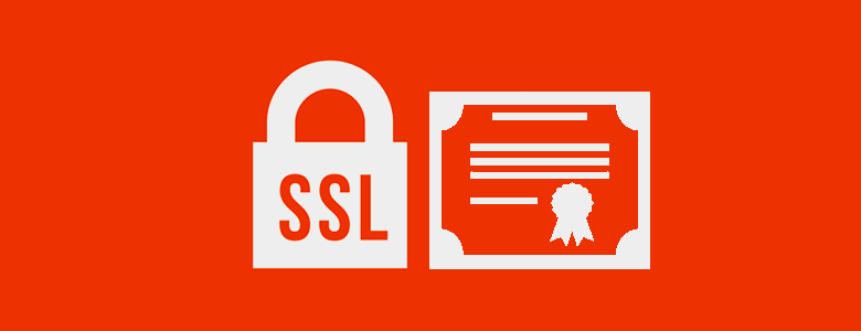 ssl nedir?