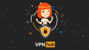 vpn hub nedir